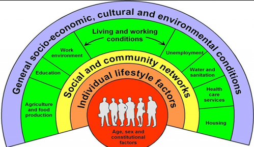 The Architecture of Illness: Understanding the Risk Factors Behind Common Diseases